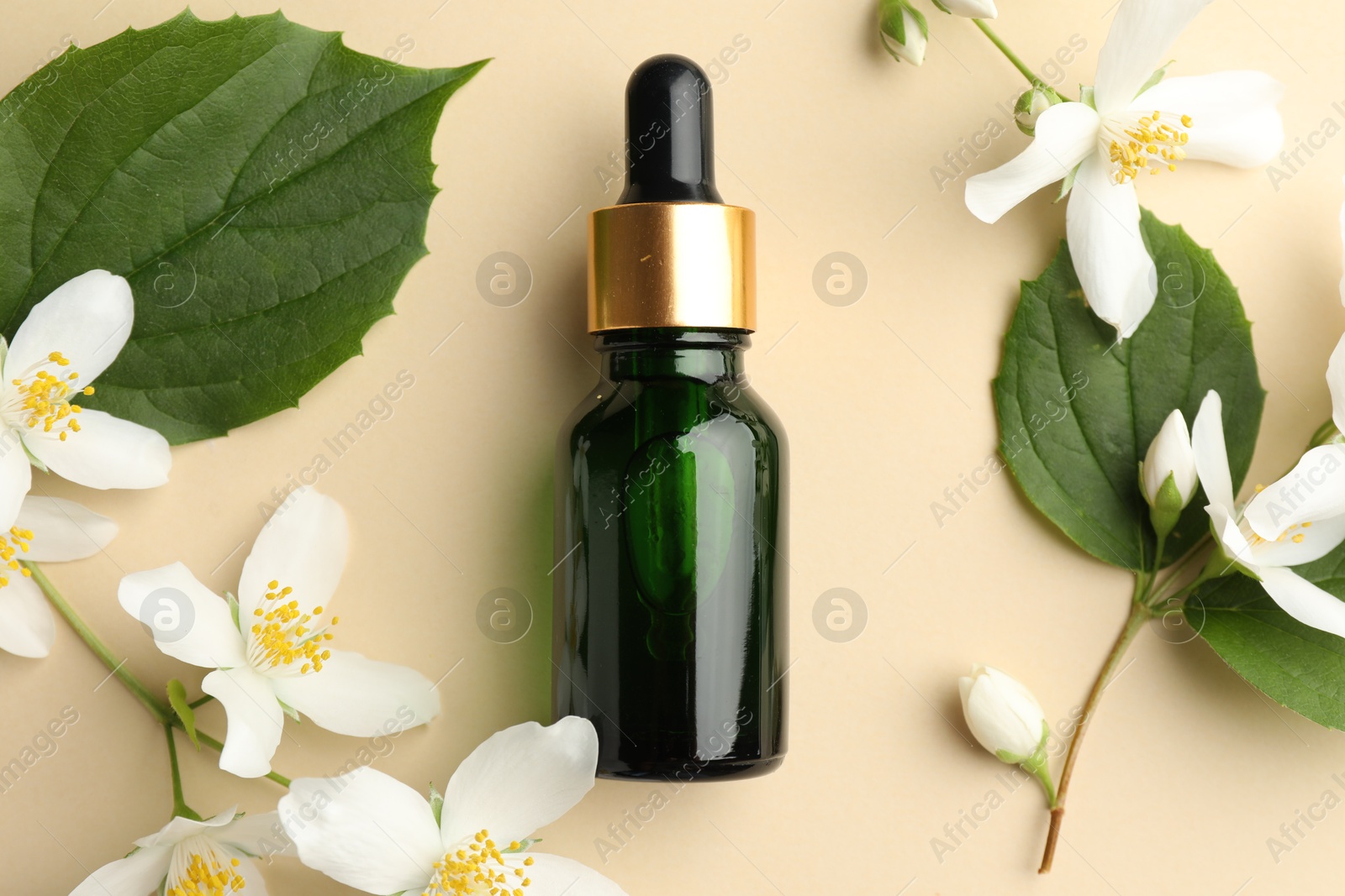 Essential oil, beautiful jasmine flowers and green leaves on beige background, flat lay Photo of Essential oil, beautiful jasmine flowers and green leaves on beige background, flat lay