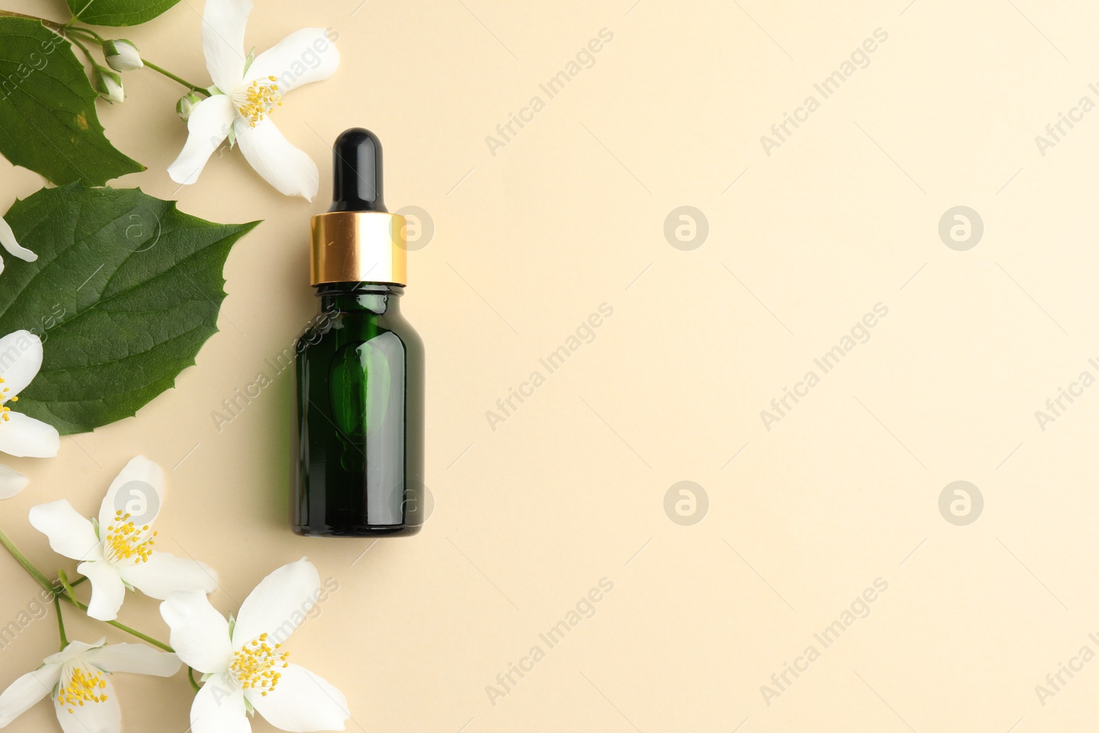 Essential oil, beautiful jasmine flowers and green leaves on beige background, flat lay. Space for text Photo of Essential oil, beautiful jasmine flowers and green leaves on beige background, flat lay. Space for text