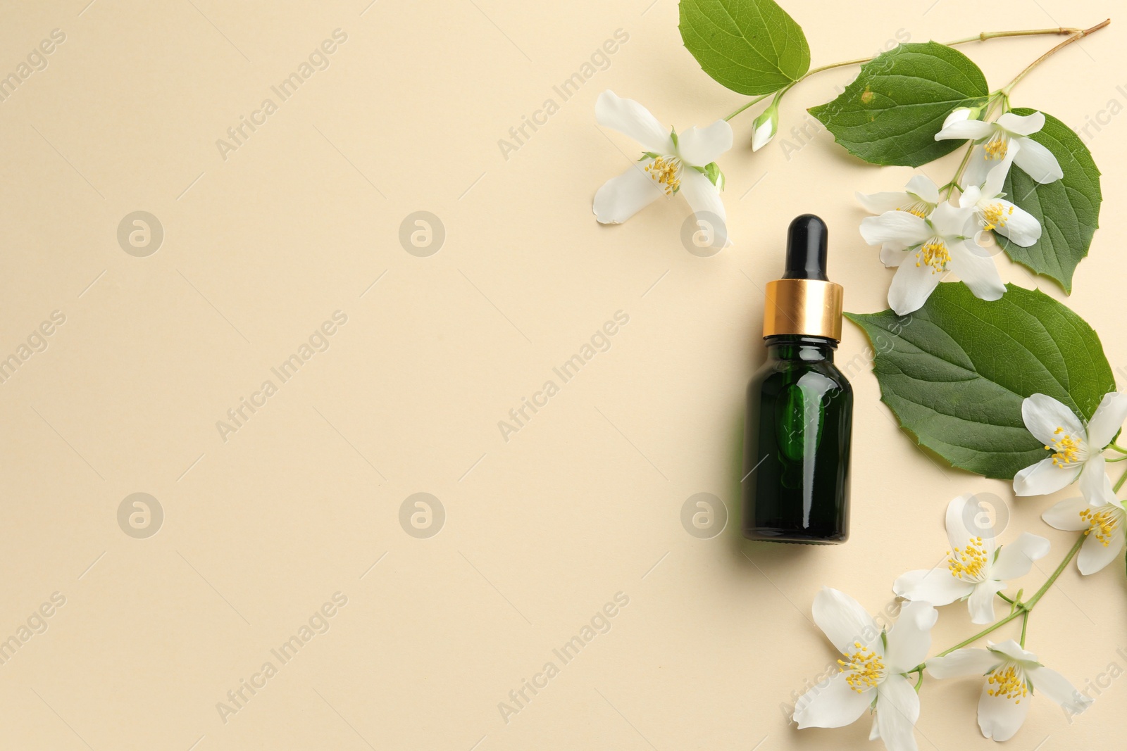 Essential oil, beautiful jasmine flowers and green leaves on beige background, flat lay. Space for text Photo of Essential oil, beautiful jasmine flowers and green leaves on beige background, flat lay. Space for text