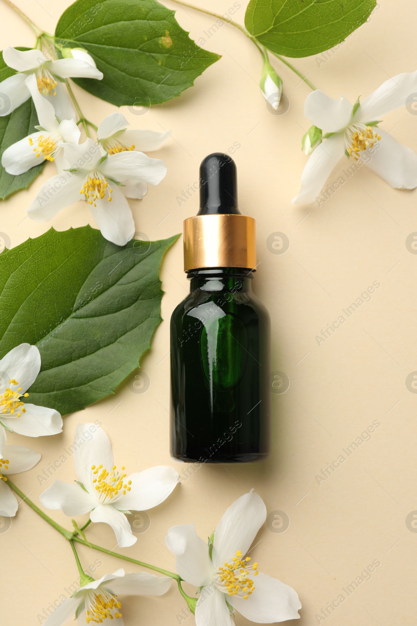 Essential oil, beautiful jasmine flowers and green leaves on beige background, flat lay Photo of Essential oil, beautiful jasmine flowers and green leaves on beige background, flat lay