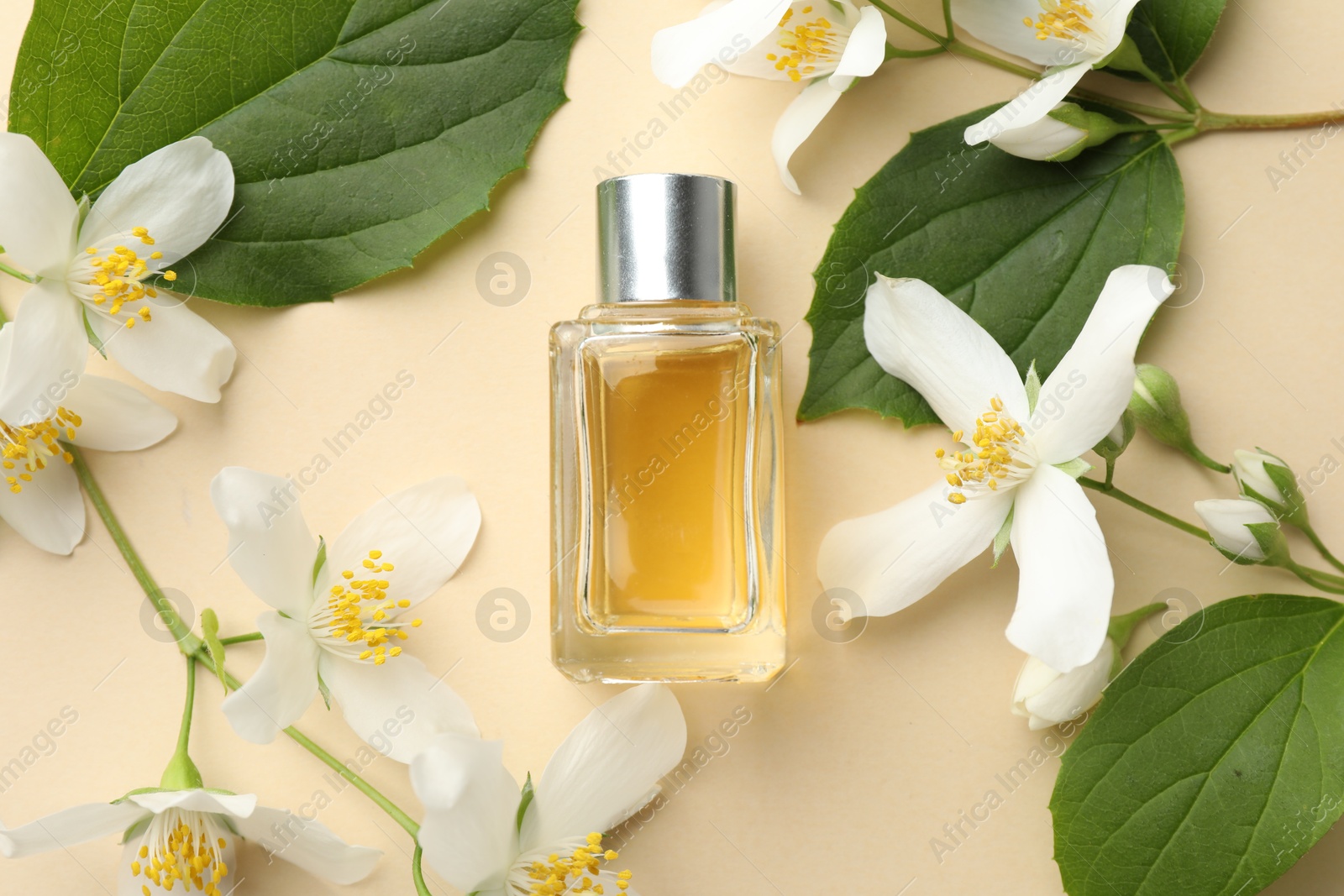 Photo of Bottle of perfume, beautiful jasmine flowers and green leaves on beige background, flat lay