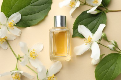 Photo of Bottle of perfume, beautiful jasmine flowers and green leaves on beige background, flat lay