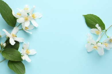 Photo of Beautiful jasmine flowers and green leaves on light blue background, flat lay. Space for text