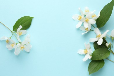 Photo of Beautiful jasmine flowers and green leaves on light blue background, flat lay. Space for text