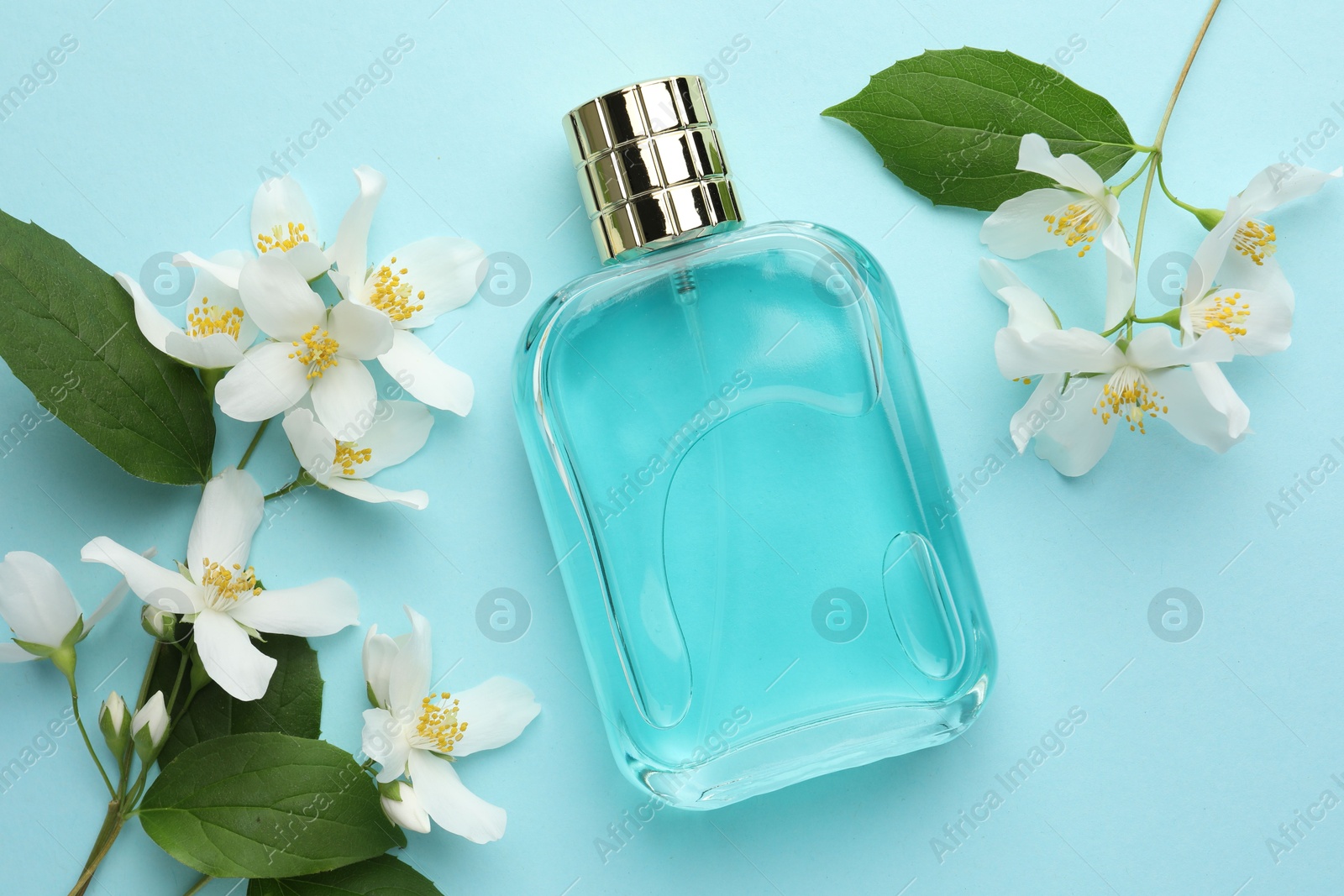 Photo of Bottle of perfume, beautiful jasmine flowers and green leaves on light blue background, flat lay