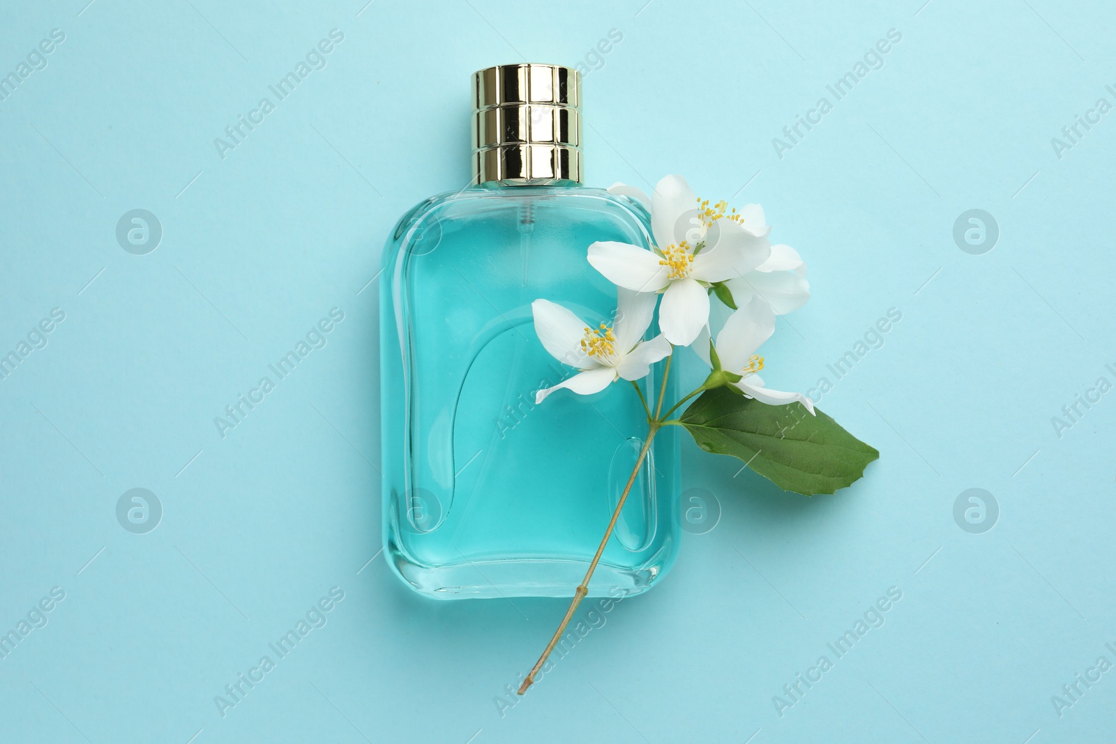 Photo of Bottle of perfume, beautiful jasmine flowers and green leaf on light blue background, top view