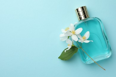 Photo of Bottle of perfume, beautiful jasmine flowers and green leaf on light blue background, top view. Space for text