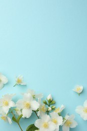 Photo of Beautiful jasmine flowers on light blue background, flat lay. Space for text