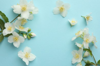 Photo of Beautiful jasmine flowers on light blue background, flat lay. Space for text
