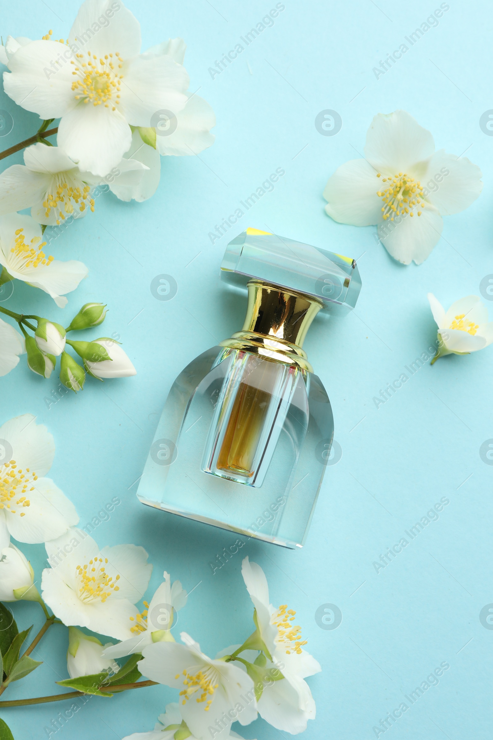 Photo of Bottle of perfume and beautiful jasmine flowers on light blue background, flat lay
