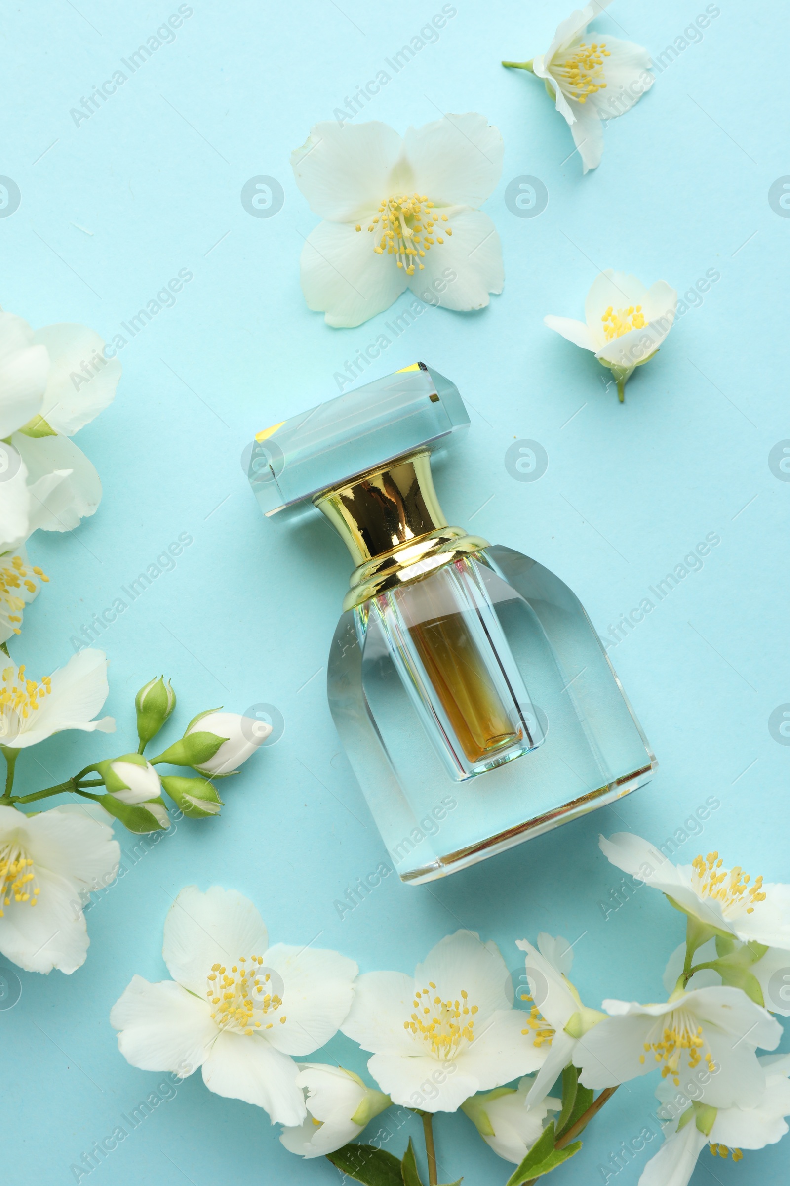 Photo of Bottle of perfume and beautiful jasmine flowers on light blue background, flat lay