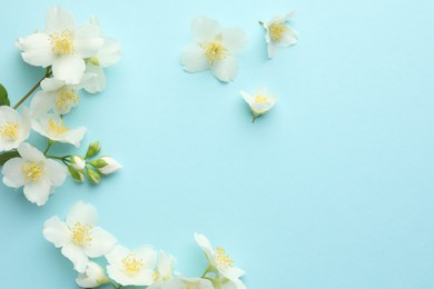 Photo of Beautiful jasmine flowers on light blue background, flat lay. Space for text