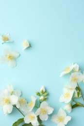 Photo of Beautiful jasmine flowers on light blue background, flat lay. Space for text