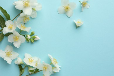 Photo of Beautiful jasmine flowers on light blue background, flat lay. Space for text