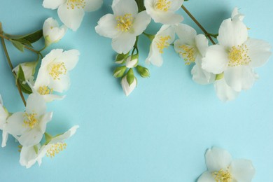 Photo of Beautiful jasmine flowers on light blue background, flat lay. Space for text