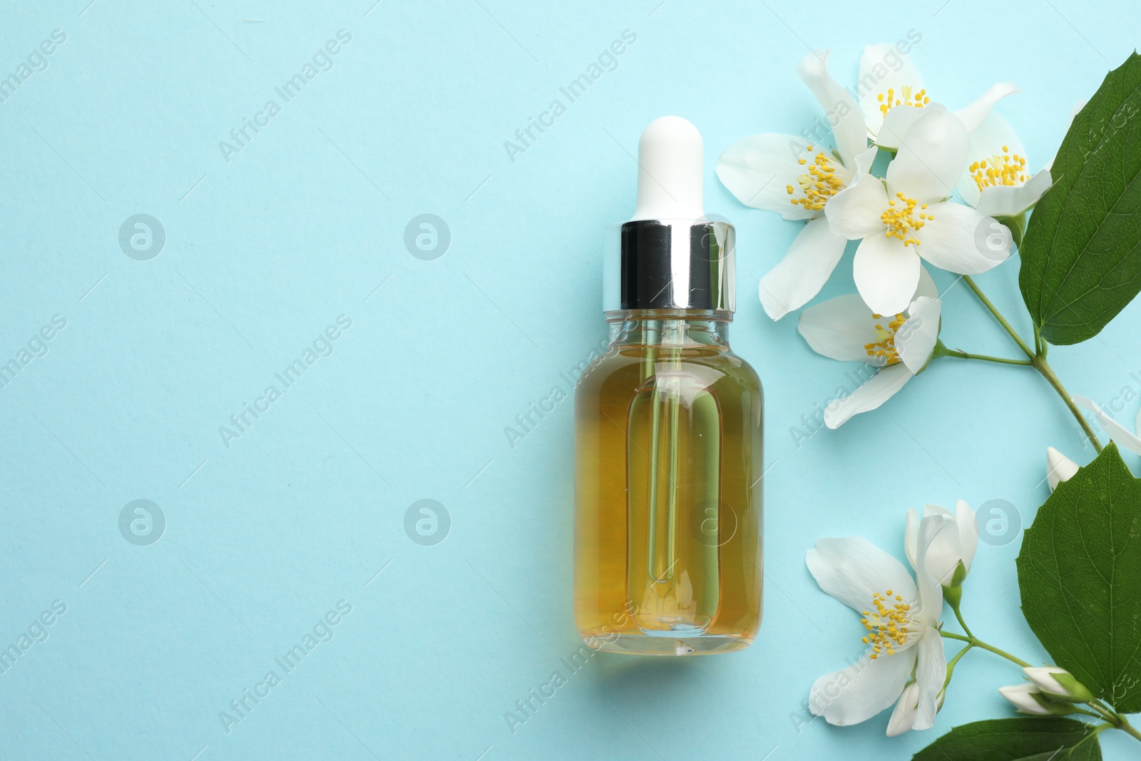 Essential oil, jasmine flowers and green leaves on light blue background, flat lay. Space for text Photo of Essential oil, jasmine flowers and green leaves on light blue background, flat lay. Space for text