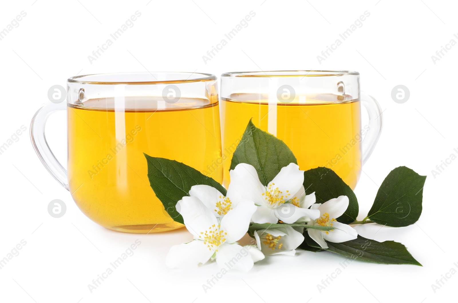 Aromatic jasmine tea in glass cups, flowers and green leaves isolated on white Photo of Aromatic jasmine tea in glass cups, flowers and green leaves isolated on white