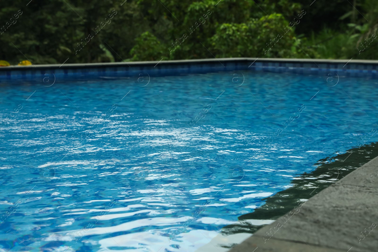 Outdoor swimming pool with clear water, closeup Photo of Outdoor swimming pool with clear water, closeup