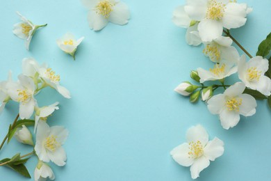Photo of Beautiful jasmine flowers on light blue background, flat lay. Space for text