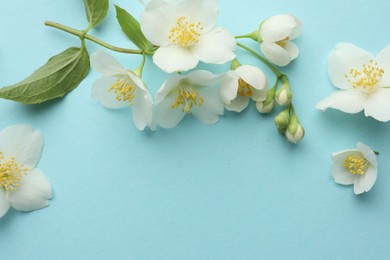 Photo of Beautiful jasmine flowers on light blue background, flat lay. Space for text