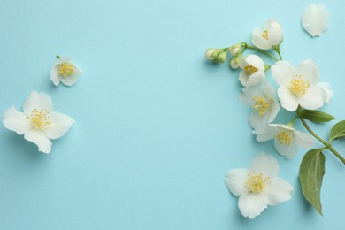 Photo of Beautiful jasmine flowers on light blue background, flat lay. Space for text