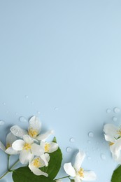 Photo of Beautiful jasmine flowers and green leaves on light blue background, flat lay. Space for text