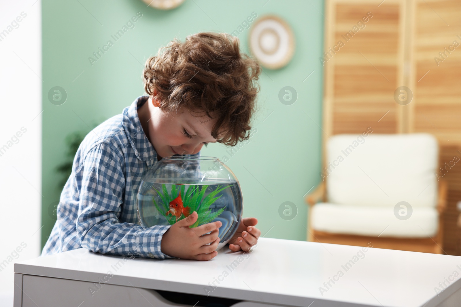 Cute little boy looking at gold fish in aquarium at white table indoors, space for text Photo of Cute little boy looking at gold fish in aquarium at white table indoors, space for text