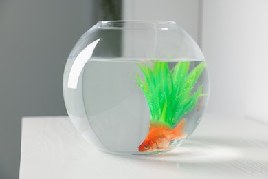 Photo of Beautiful goldfish in round aquarium on white table
