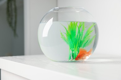 Photo of Beautiful goldfish in round aquarium on white table