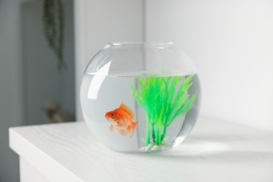 Photo of Beautiful goldfish in round aquarium on white table