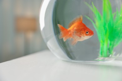 Photo of Beautiful goldfish in round aquarium on white table, closeup
