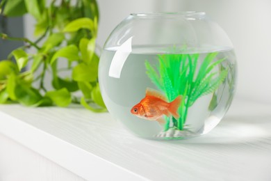 Photo of Beautiful goldfish in round aquarium and houseplant on white table