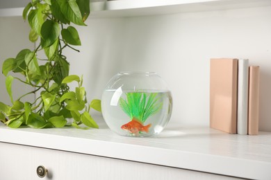 Photo of Beautiful goldfish in round aquarium and books on shelf