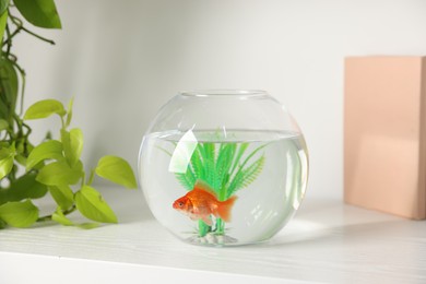Photo of Beautiful goldfish in round aquarium and books on shelf