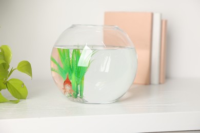 Photo of Beautiful goldfish in round aquarium and books on shelf