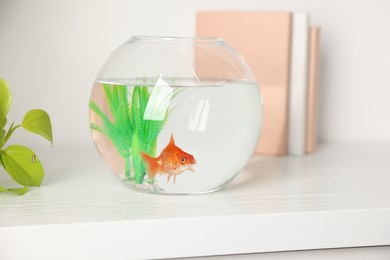 Photo of Beautiful goldfish in round aquarium and books on shelf