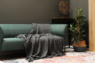 Photo of Gray woolen blanket on sofa and houseplant indoors