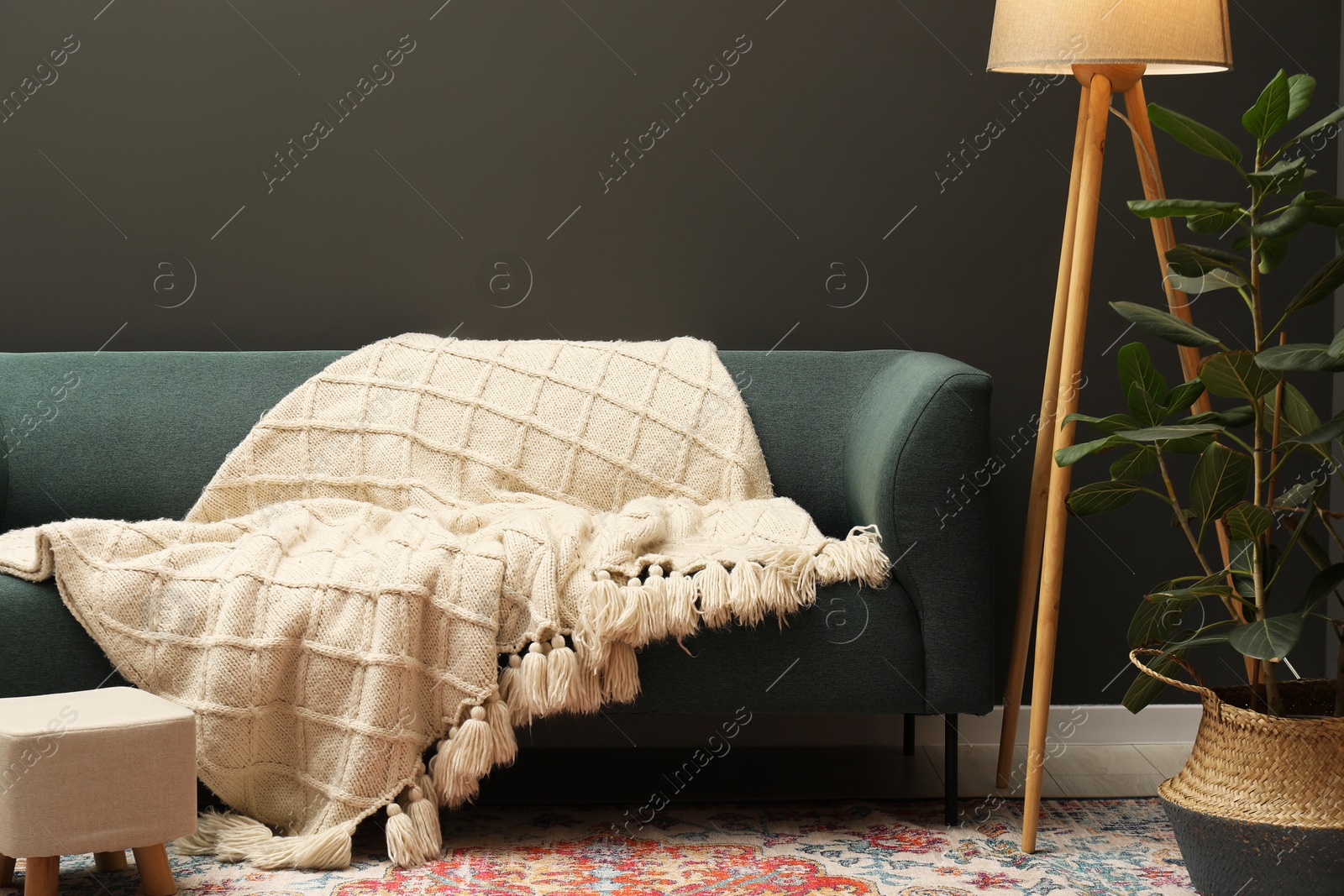 Beige woolen blanket on sofa, lamp, houseplant and ottoman indoors Photo of Beige woolen blanket on sofa, lamp, houseplant and ottoman indoors