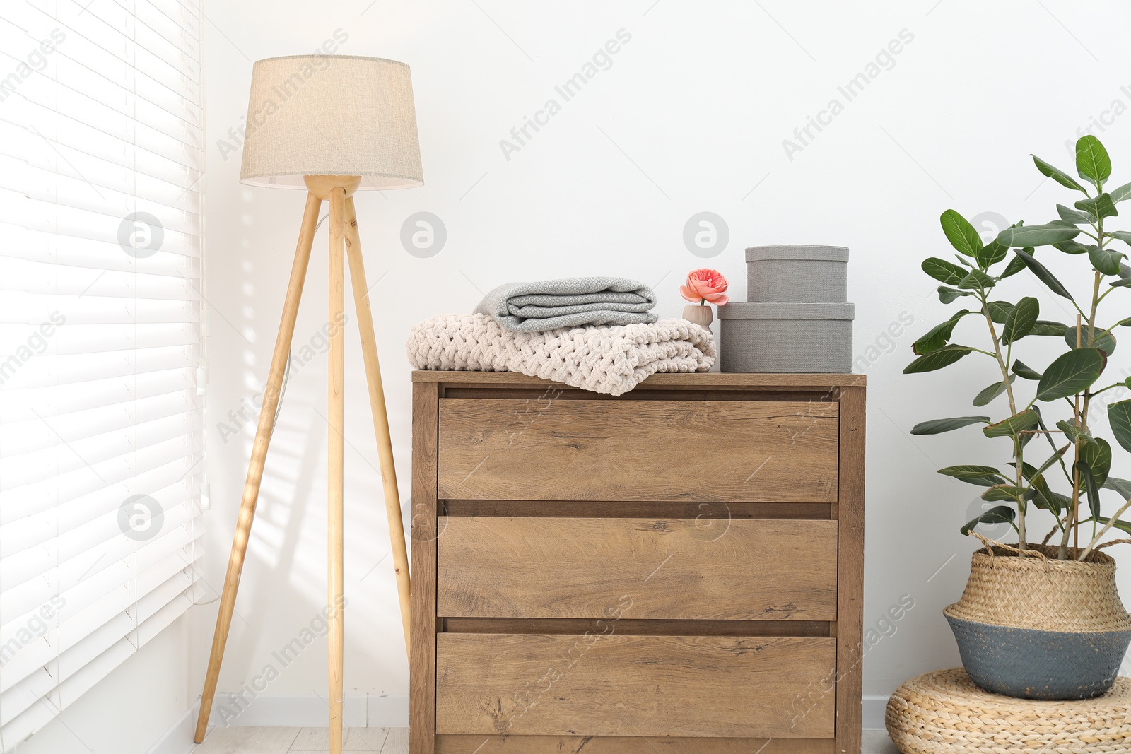 Woolen blankets on wooden chest of drawers, lamp and houseplant near white wall indoors Photo of Woolen blankets on wooden chest of drawers, lamp and houseplant near white wall indoors