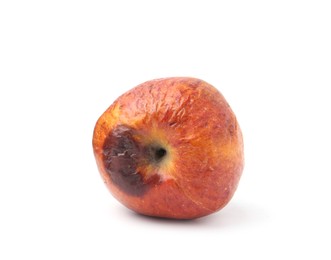 Photo of One whole rotten apple isolated on white