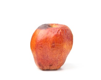 Photo of One whole rotten apple isolated on white