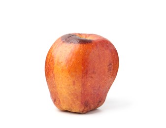 Photo of One whole rotten apple isolated on white