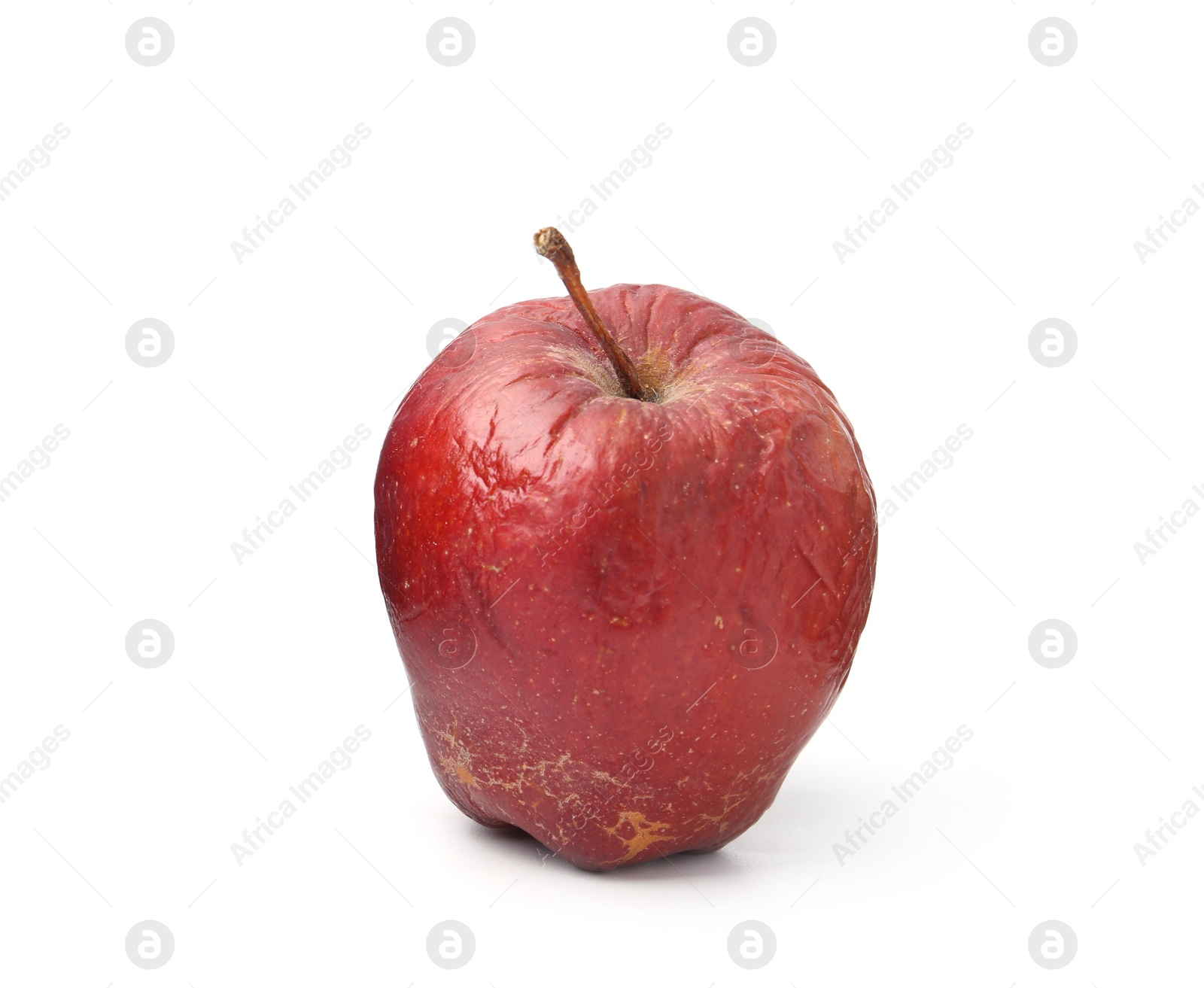 One whole rotten apple isolated on white Photo of One whole rotten apple isolated on white
