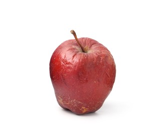 Photo of One whole rotten apple isolated on white