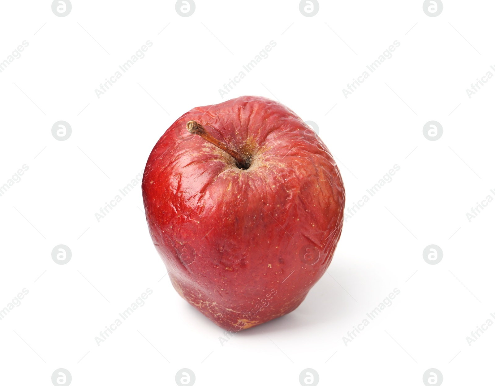 One whole rotten apple isolated on white Photo of One whole rotten apple isolated on white
