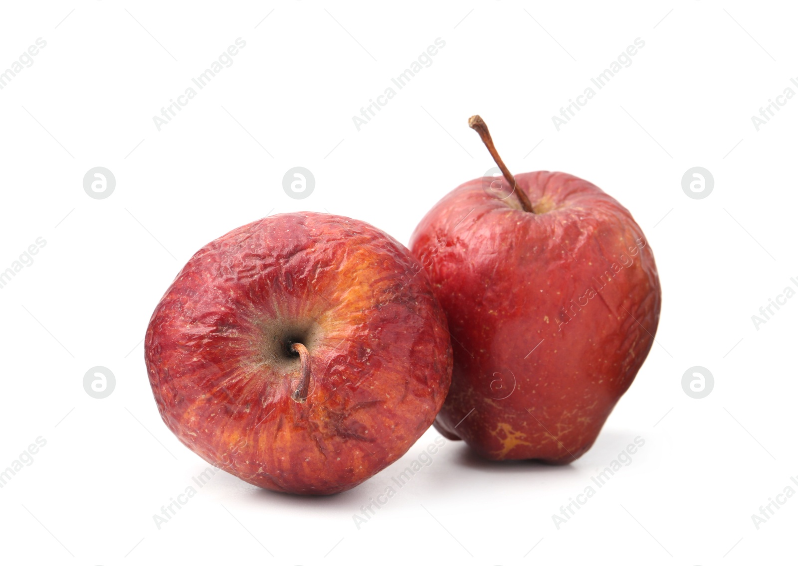 Two whole rotten apples isolated on white Photo of Two whole rotten apples isolated on white
