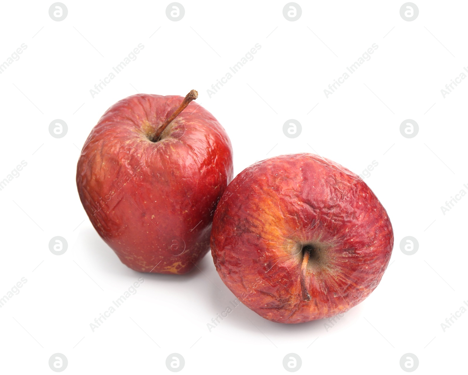 Two whole rotten apples isolated on white Photo of Two whole rotten apples isolated on white
