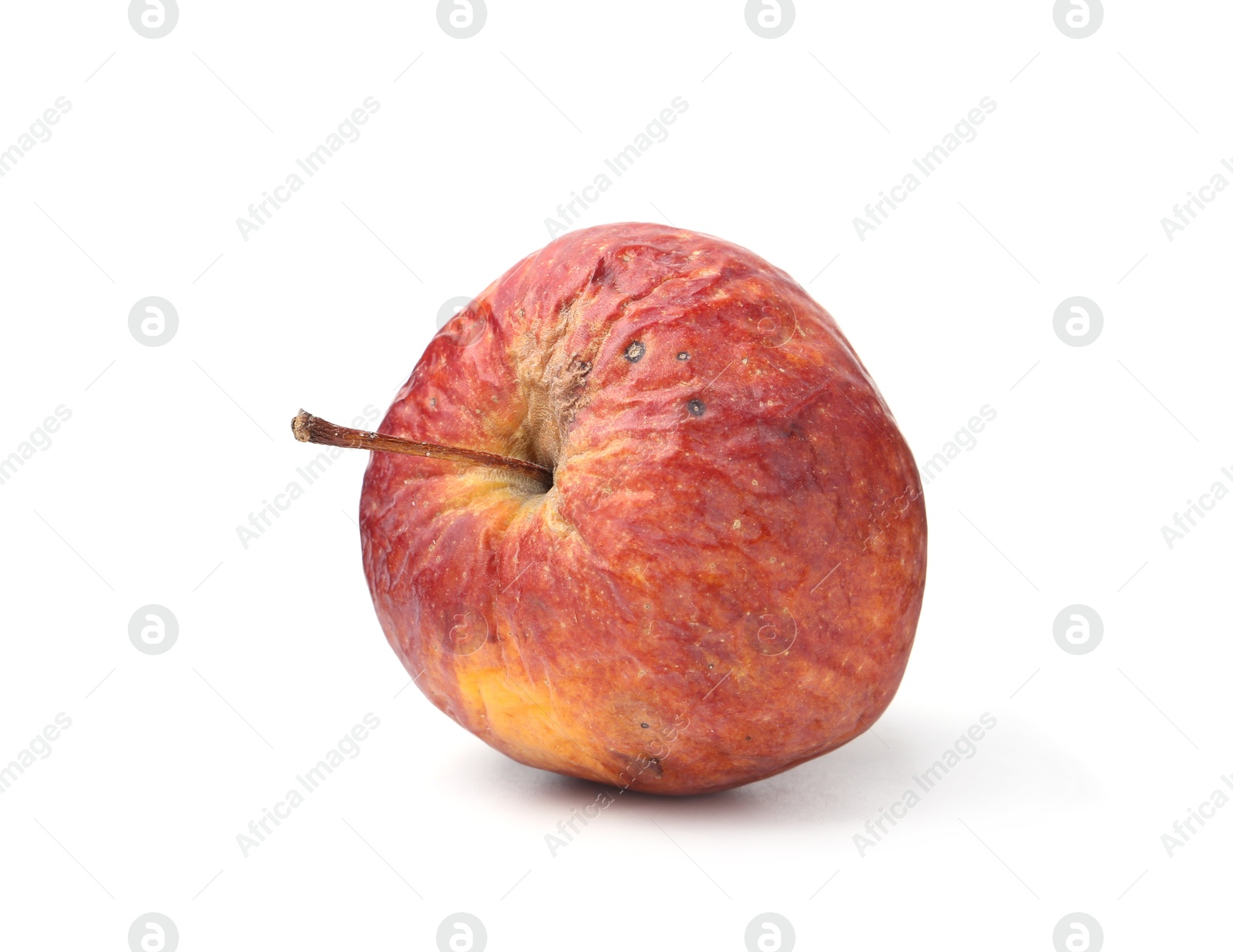 One whole rotten apple isolated on white Photo of One whole rotten apple isolated on white