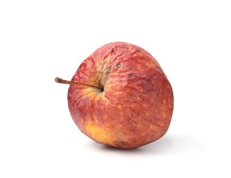 Photo of One whole rotten apple isolated on white