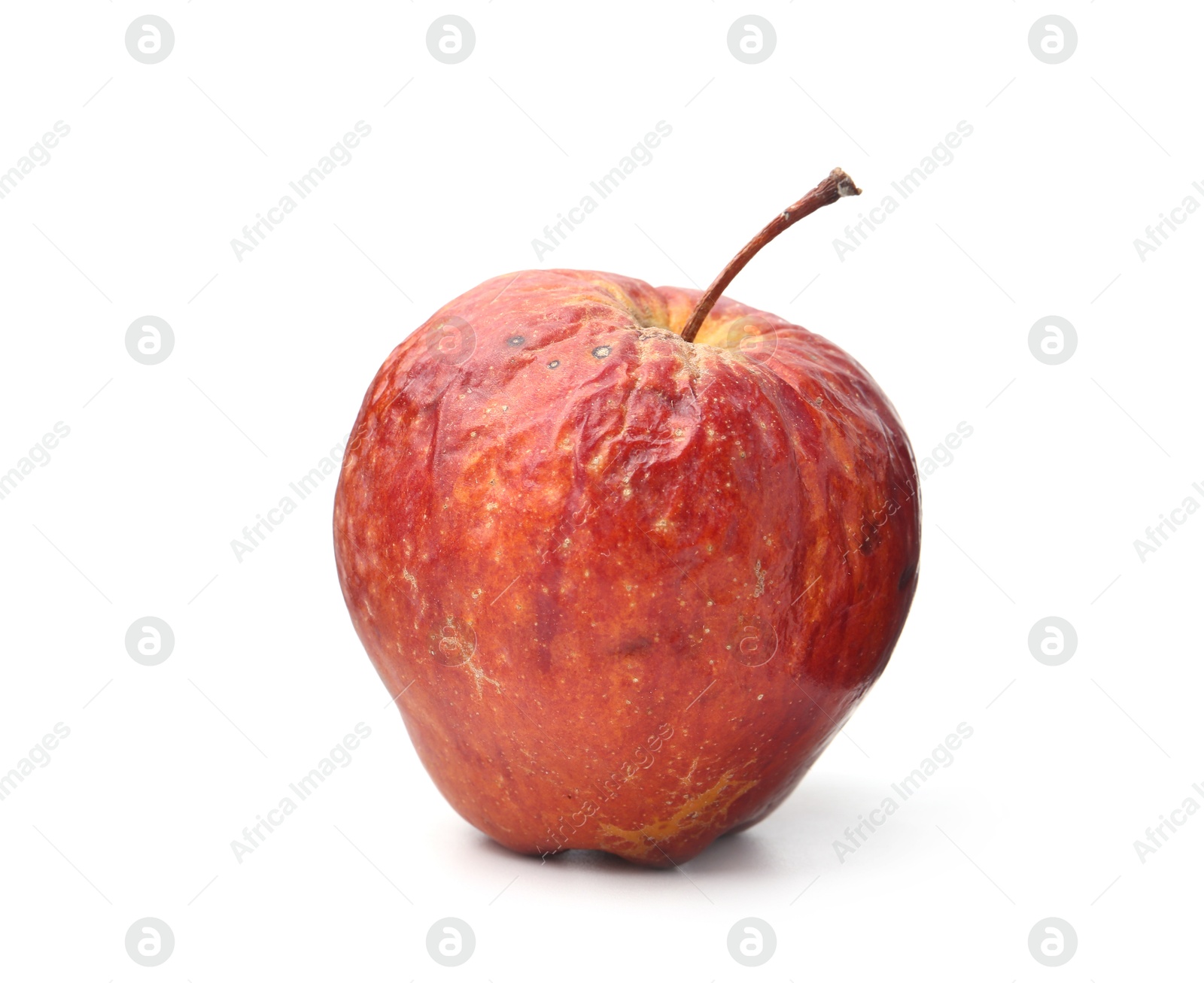 One whole rotten apple isolated on white Photo of One whole rotten apple isolated on white
